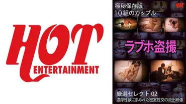 Top secret version of Love Hotel voyeurism. 10 carefully selected leaked videos of intense sexual encounters in closed rooms.