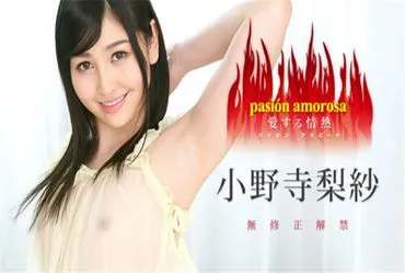 Caribbeancom 030317-385 Passionate Love 5 - Amorosa