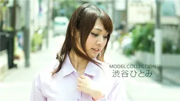 คอลเลกชันโมเดล