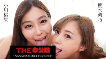 THE Unreleased ~Until the Dick Goes Stupid, Non-Stop Blowjobs 2~ , Sakuragi Rino