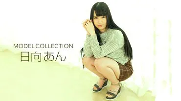 Model Collection