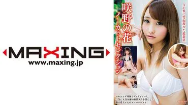 Bộ sưu tập hoa Sakino chưa được cắt.