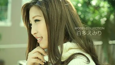 คอลเลกชันโมเดล