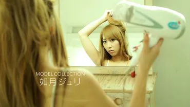 คอลเลกชันโมเดล