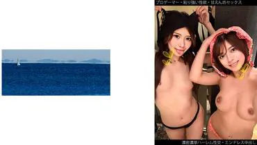【职业玩家】【坚韧的性欲】【撒娇式性爱】【浓厚浓密后宫性交】C酱&H酱