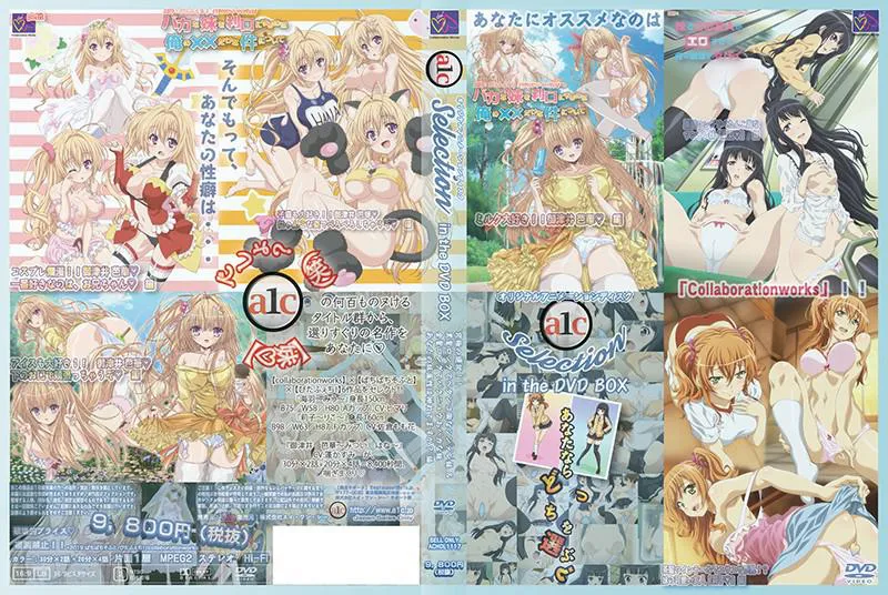 A1C Selection in the BOX Ultimate Choice!! Tsundere Sister with Black Long Hair and Flat Chest & Blonde Long Hair, Busty, and Airheaded Sister Is Your Sister Attribute Twisted? Edition