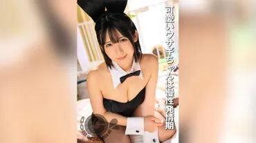Le lapin mignon est en chaleur chronique