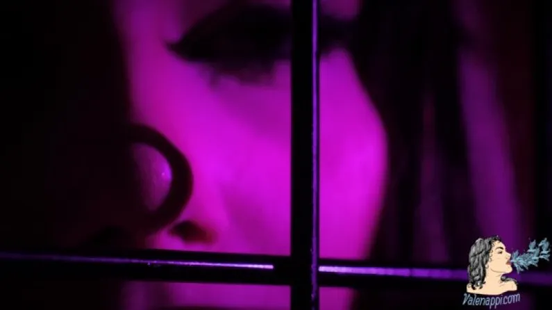 ValeNappi Ja Meister