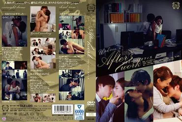 下班后 私人办公室