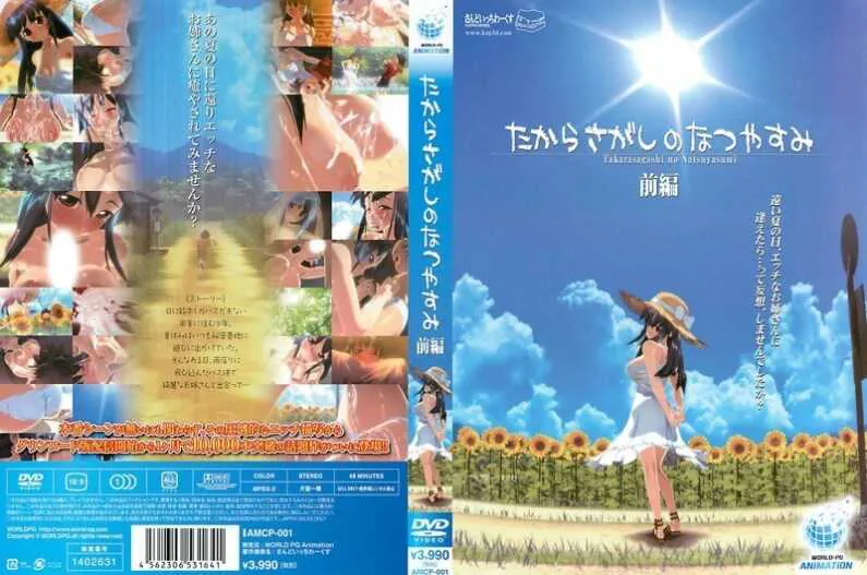 寻宝的夏天