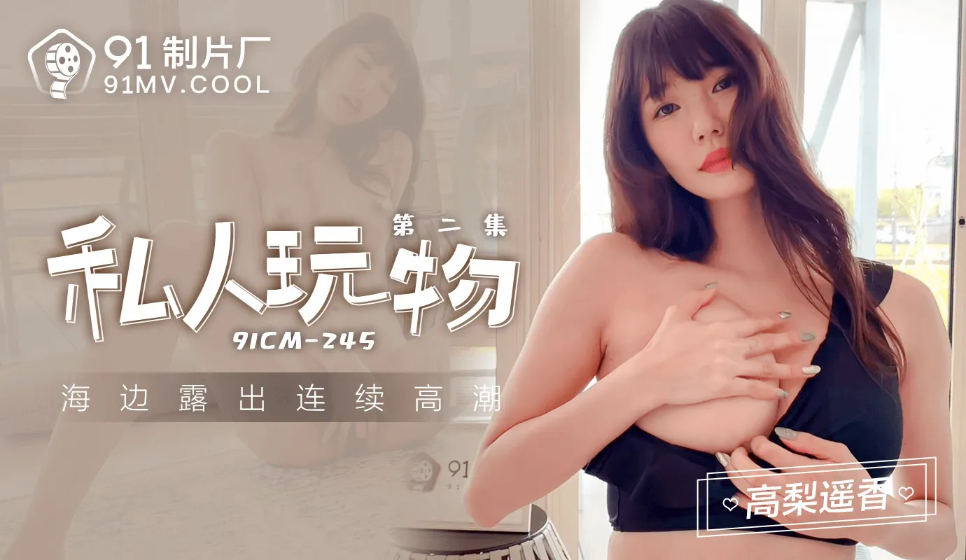 私人玩物2 海边露出 连续高潮 (91CM245)