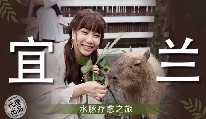 Yilan Capybara Healing Journey (MM-078)
