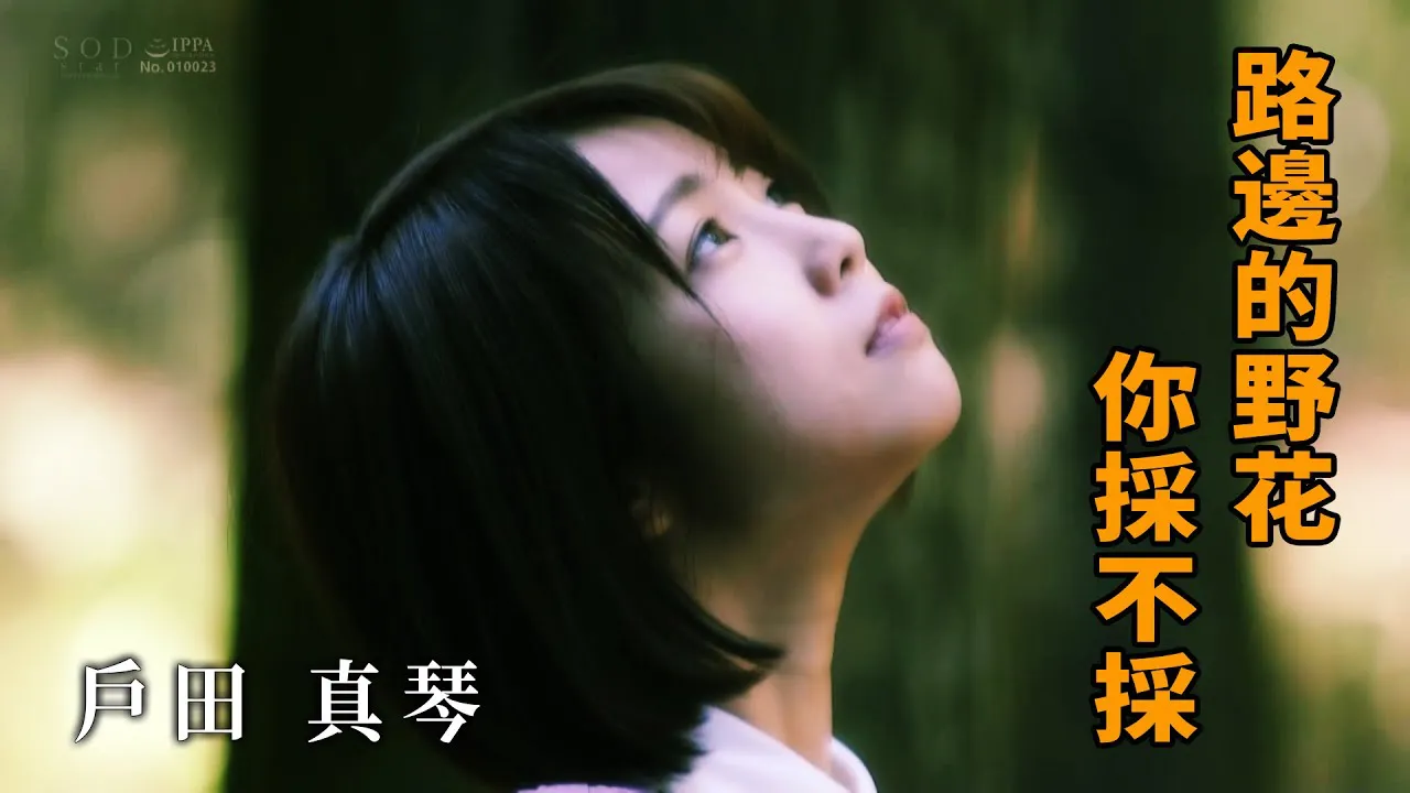 [Z Cinema][2021-11-27] Makoto Toda, to pick or not to pick the wildflowers by the roadside?