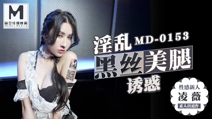 ถุงน่องสีดำยั่วยวนยั่วยวนใจ โมเดล KTV บริการทางเพศพิเศษ (MD0153)