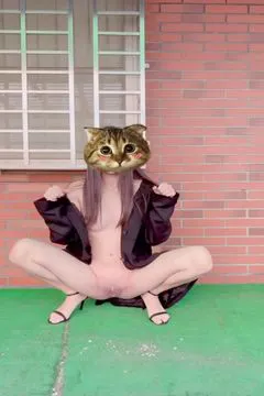 Taiwan yêu Lulu~ Gâu Gâu~