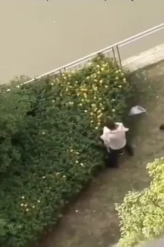 Just Started Humping in the Bushes By the Road
