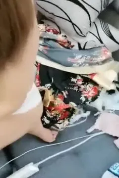 百合叠叠乐