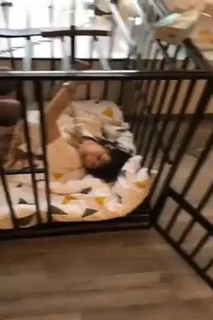 Acheter une cage pour chien femelle, est-ce que cette taille convient ?