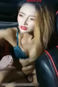 车震同好会2
