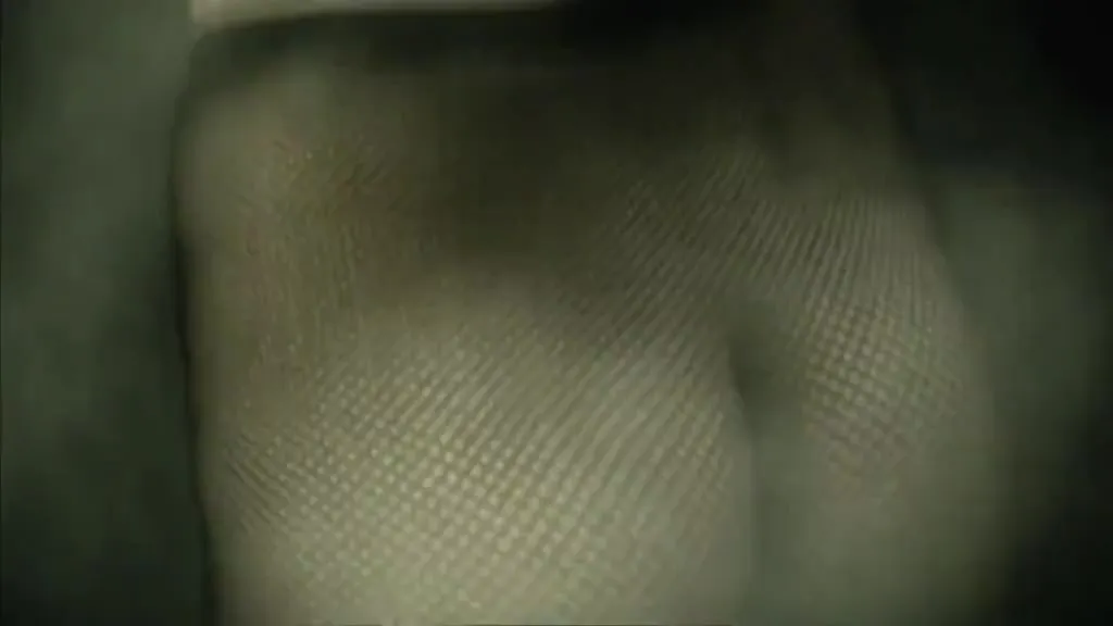 Adult mv-02