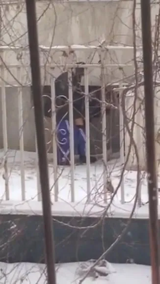 Spying on two students having a snowball fight in front of someone else's house