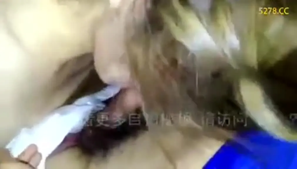 Anh là fan của Elephant - SuXX04.