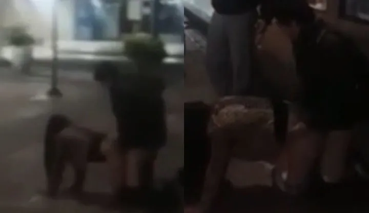 Cô gái và cậu bé dũng cảm tự tin khoe khoang.