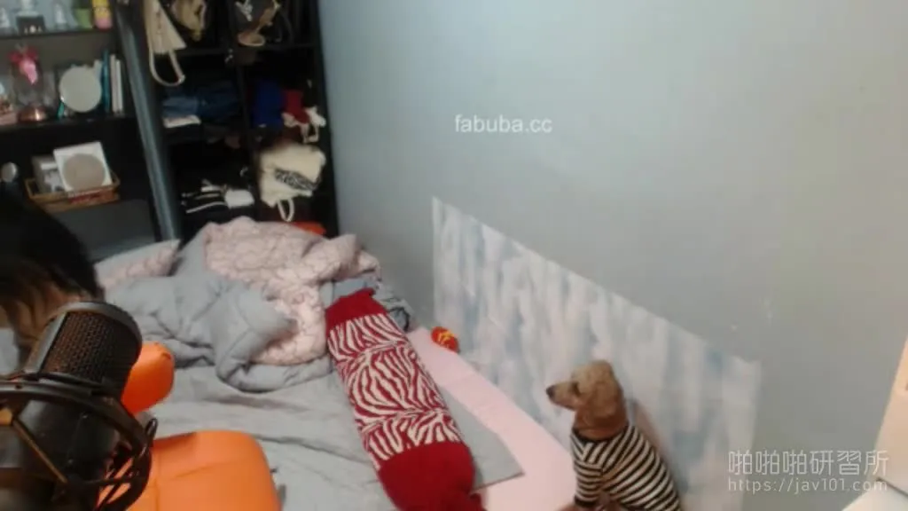 Cô gái Hàn Quốc vẫn cứ nghịch ngợm với điểm trd, thậm chí con chó bên cạnh cô ấy cũng có thể ngửi thấy hương vị hải sản!
