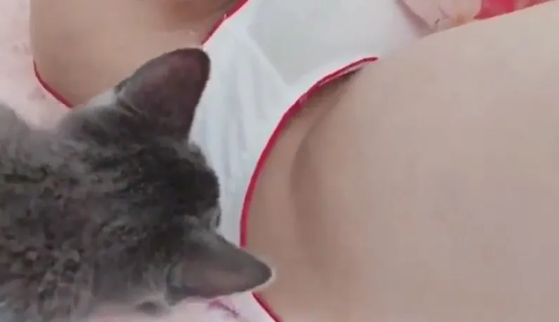 Mèo con tò mò không? Nó đã ngửi mùi bào ngư chưa?