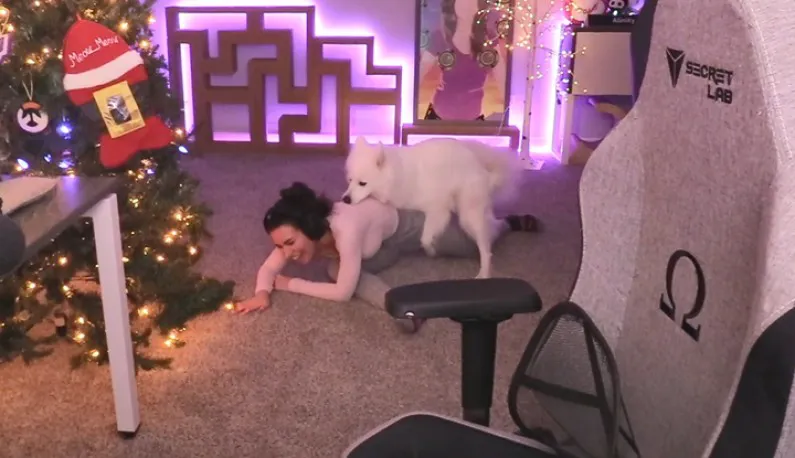 [Western] Beautiful live streamer's cheating caused her dog to be unable to bear it and want to mate!!