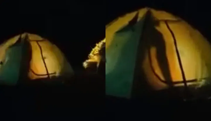 Online Expose ~ The Chick Gets Fucked So Hard Screaming: "Ack! No!!!"… and Everyone in the Barracks Came Out to Watch