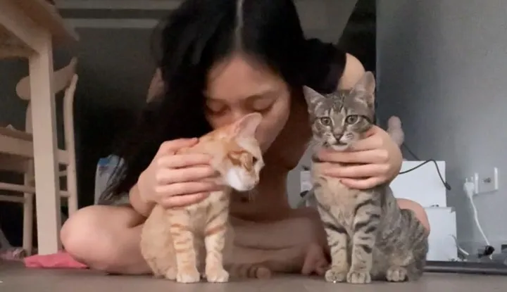 Chủ trạm O châu Á, con mèo nào bạn thích?