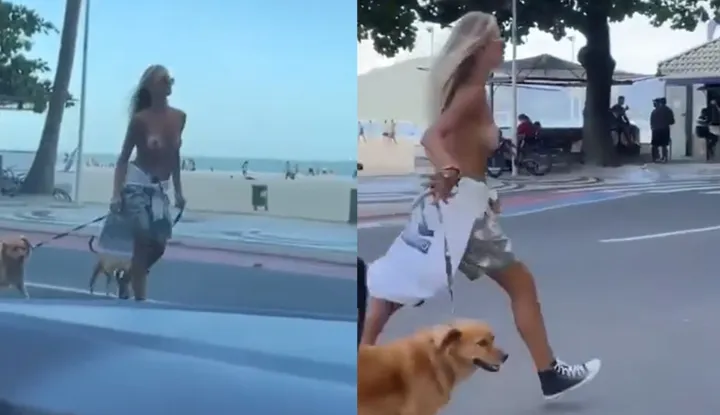 Destroy world peace? Brazilian model 'Caroline Werner' liberates her breasts to 'walk the dog in the sky'
