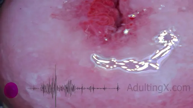 Mạch Cổ Tử Cung Nhịp Tim Orgasm EKG - Sophie Adulting