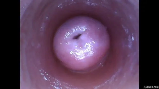 Kira - Selfie pervers (vidéo de caméra de chatte avec endoscope)