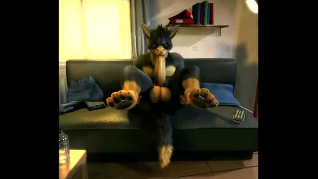 H0RS3合集 - （Gay Yiff合集） - 由 AznChubLuvr 编译