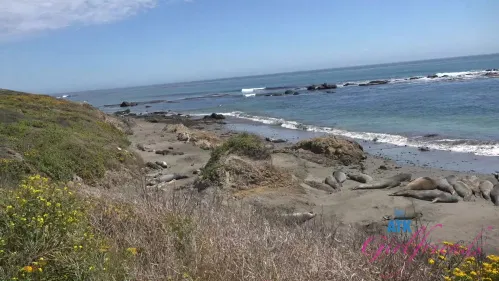 ATKGirlfriends Serena Hill Norcal 3