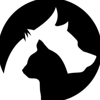Wolf & Cat