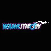 Wank It Now